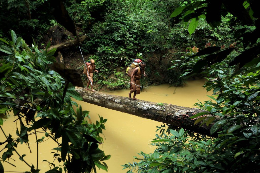 Mandara dayak jungle éco-tourisme indonésie