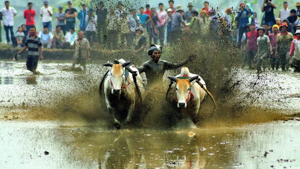 Mandara voyage sumatra éco-tourisme indonésie