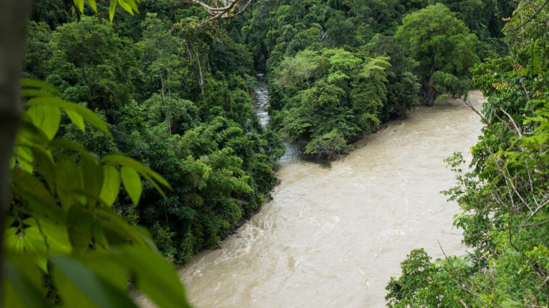 Mandara rivière lore lindu éco-tourisme indonésie
