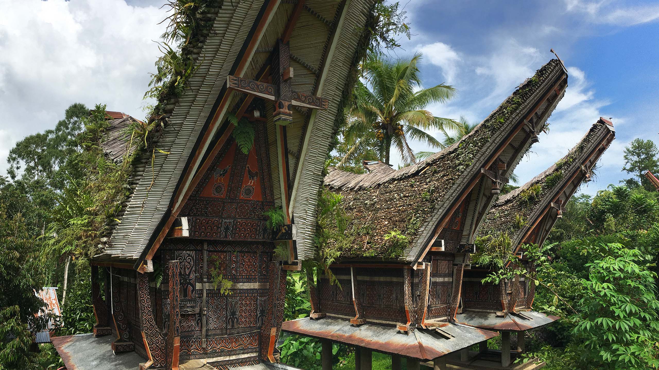 Mandara toraja éco-tourisme indonésie