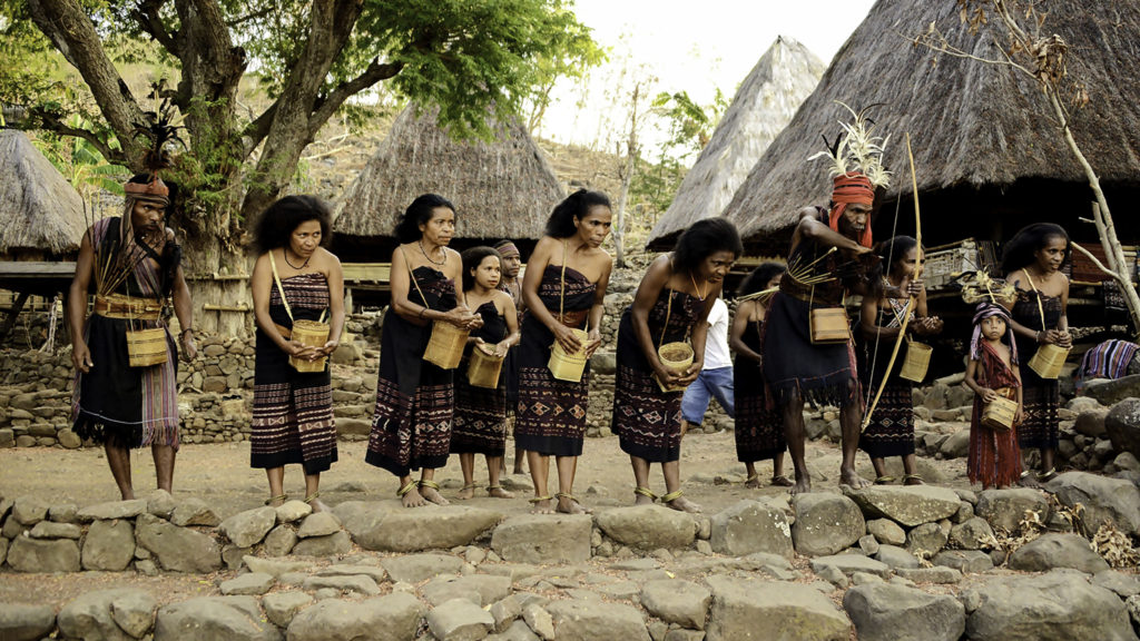 Mandara alor éco-tourisme indonésie