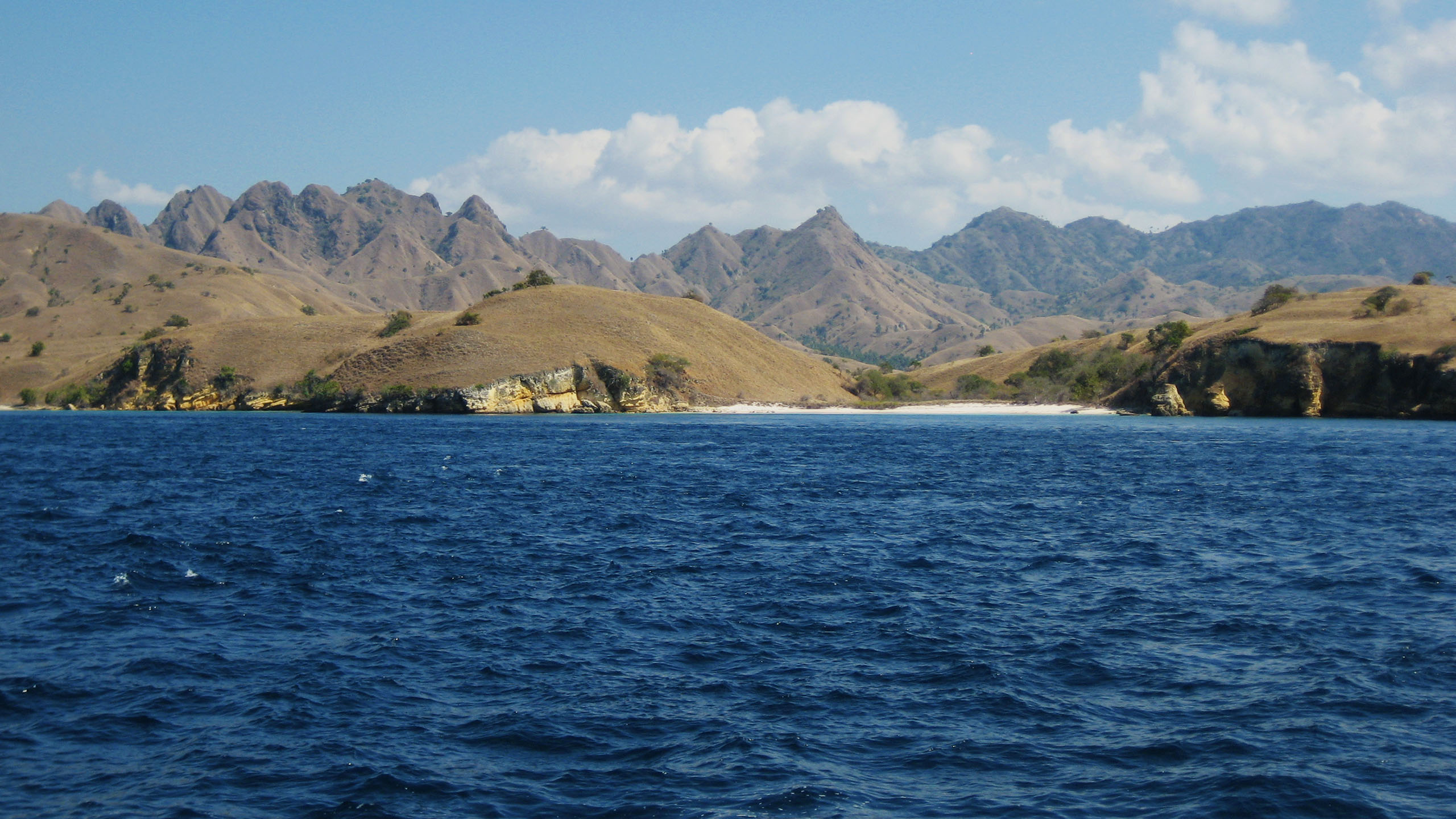 Komodo