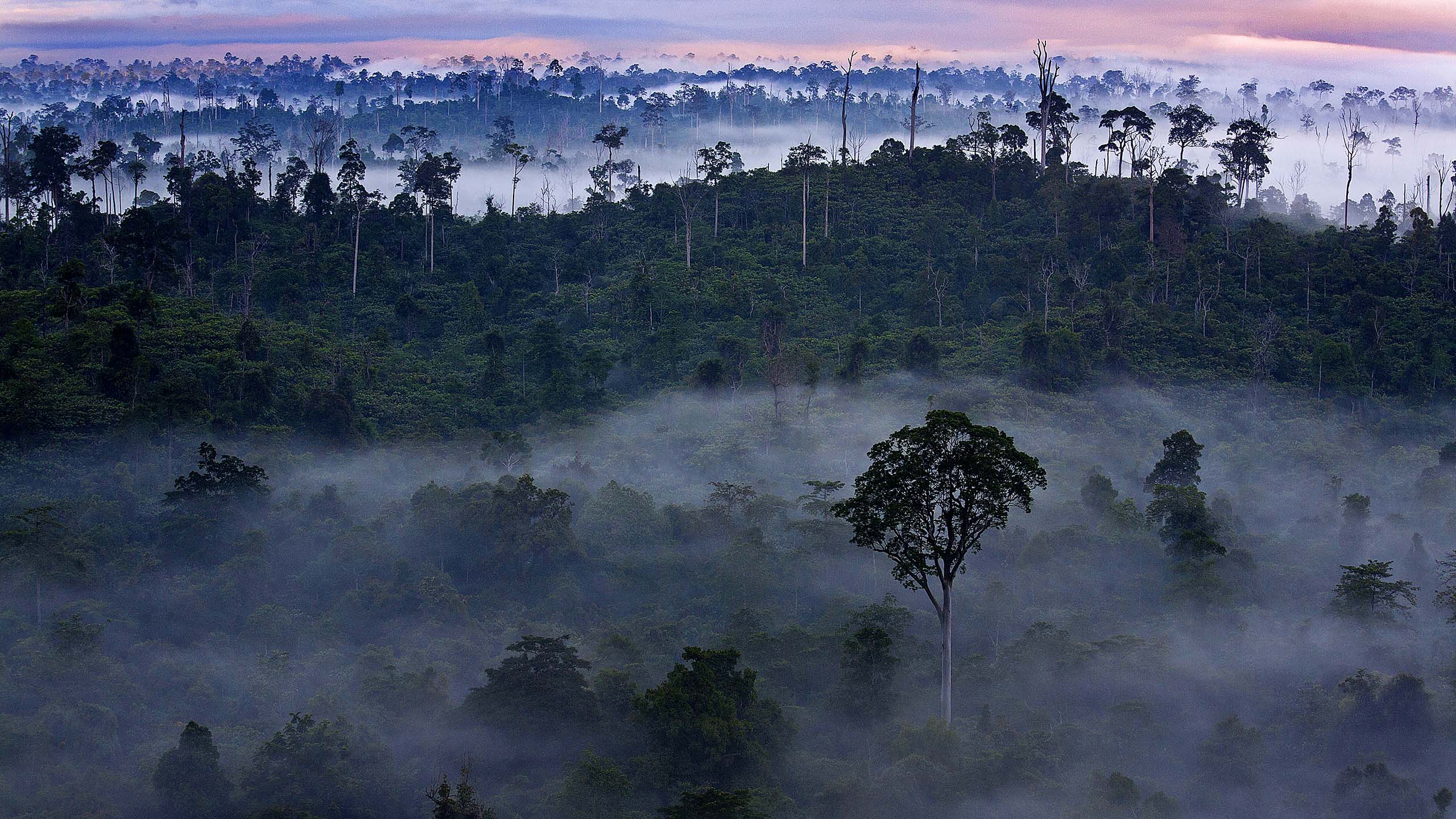 Nature & biodiversité - *le dernier sanctuaire*