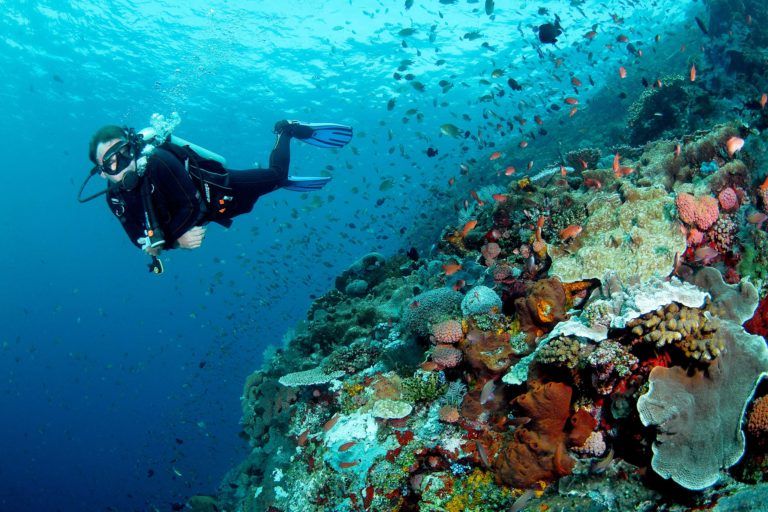 Mandara raja ampat éco-tourisme