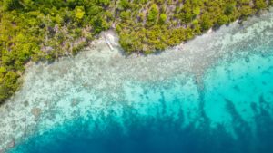 Togean