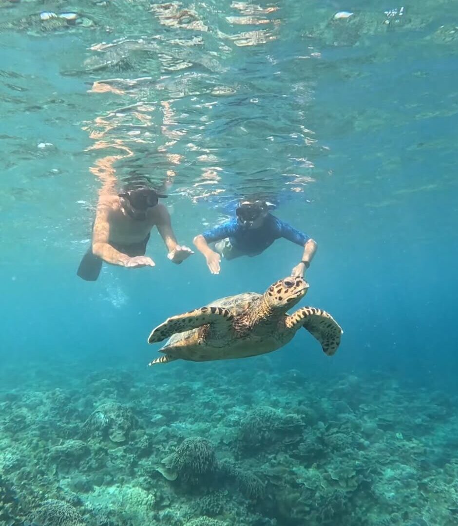 Snorkeling & activités *pour tous*